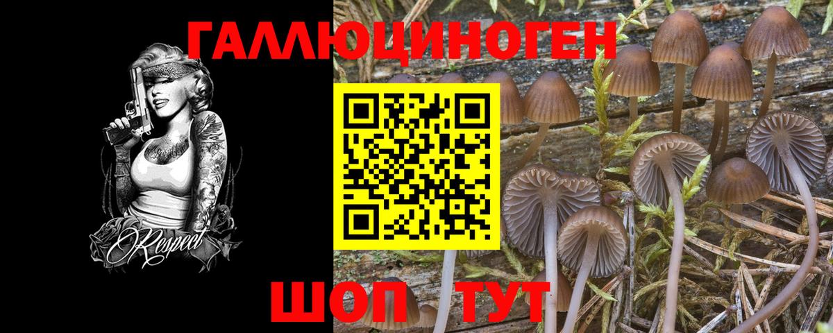 Галлюциногенные грибы Psilocybine cubensis  Вход с VPN  Выкса 